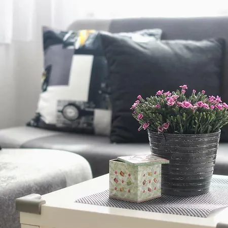 Link Apartmán